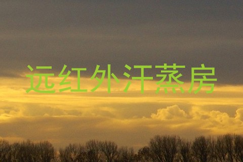 远红外汗蒸房