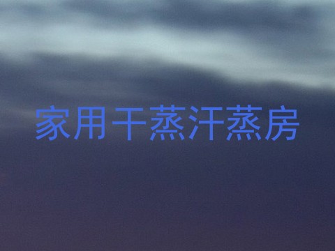 家用干蒸汗蒸房