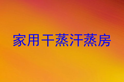 家用干蒸汗蒸房