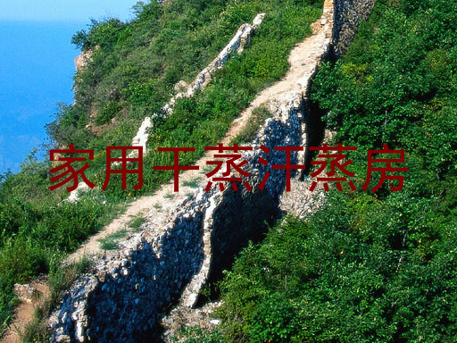家用干蒸汗蒸房