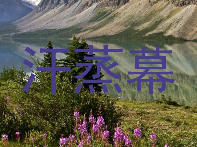 汗蒸幕