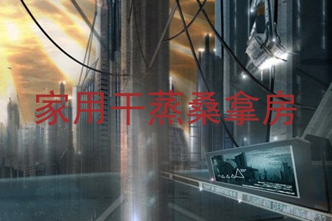 家用干蒸桑拿房