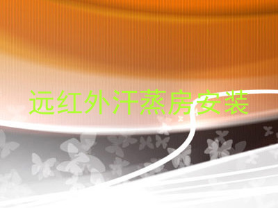 远红外汗蒸房安装