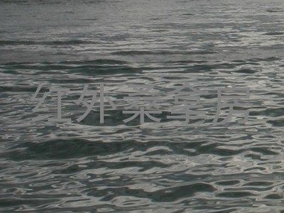 红外桑拿房