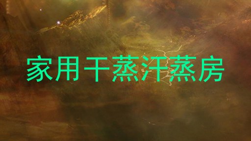 家用干蒸汗蒸房