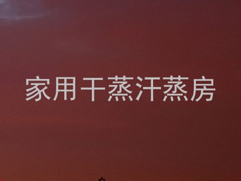 家用干蒸汗蒸房