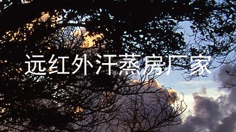 远红外汗蒸房厂家