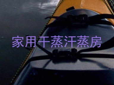 家用干蒸汗蒸房