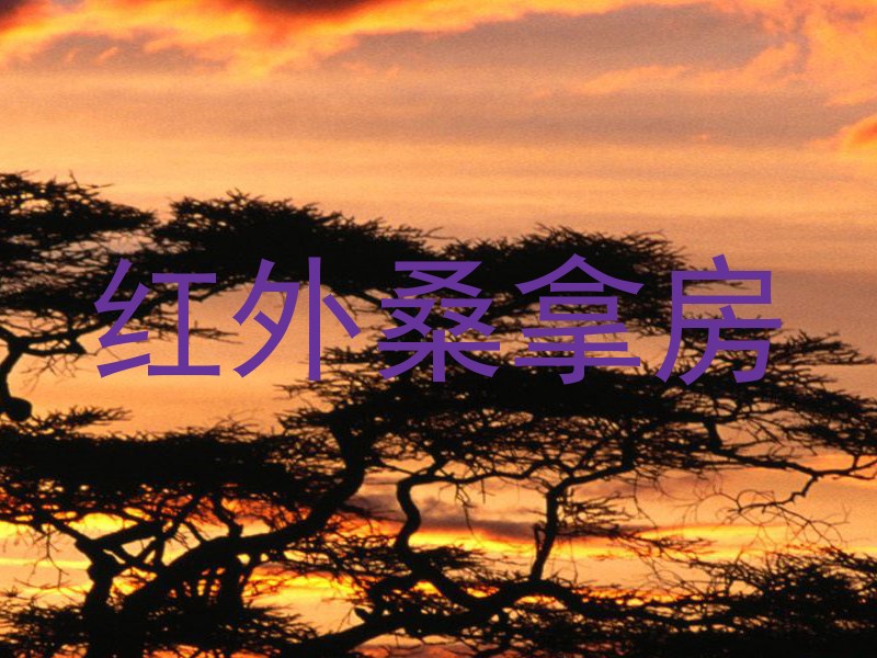 红外桑拿房