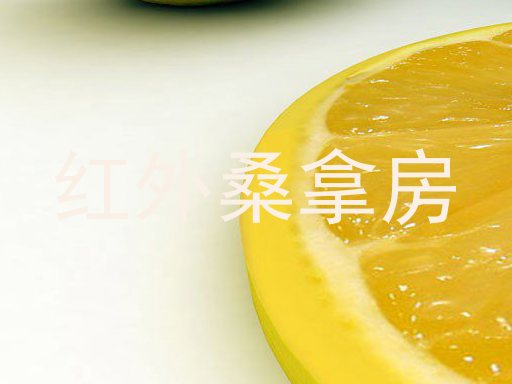红外桑拿房
