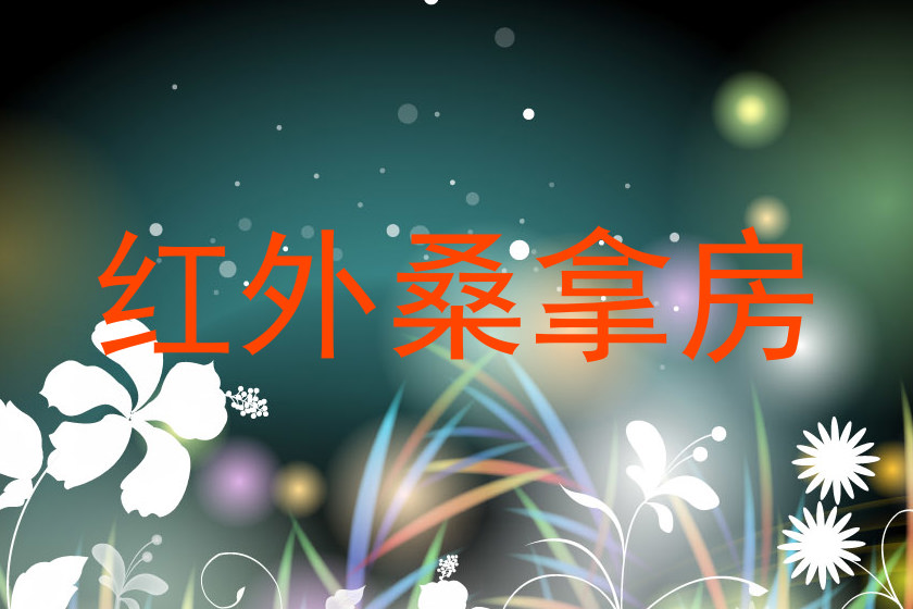 红外桑拿房