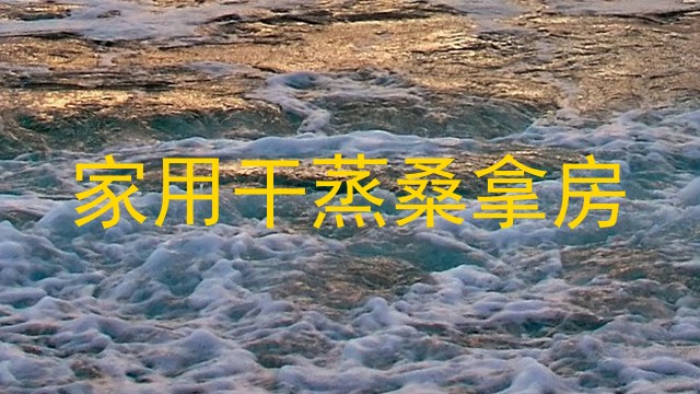 家用干蒸桑拿房