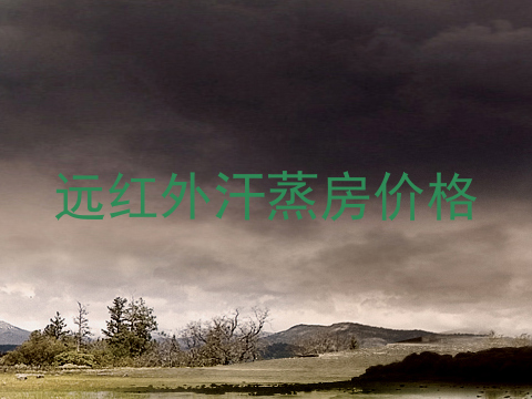 远红外汗蒸房价格