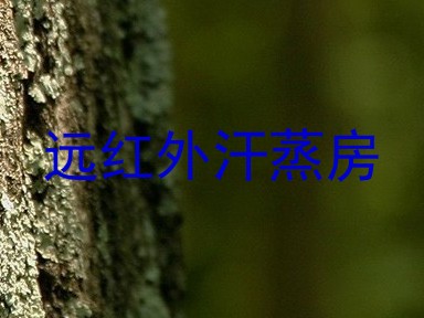 远红外汗蒸房