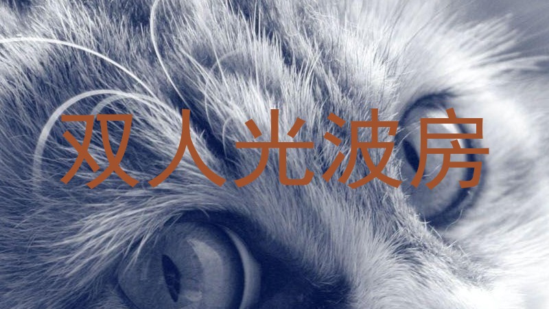 双人光波房