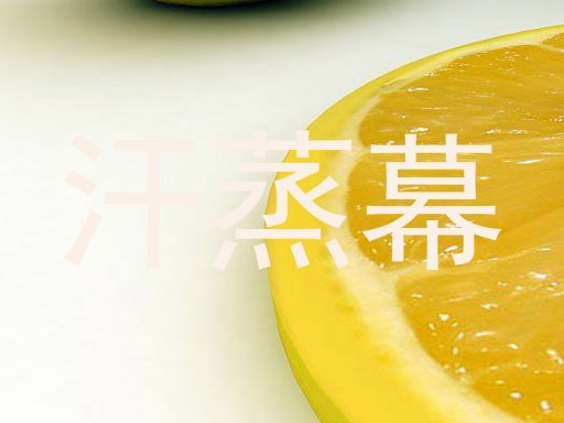 汗蒸幕