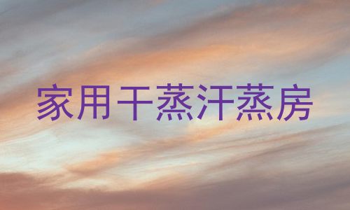 家用干蒸汗蒸房