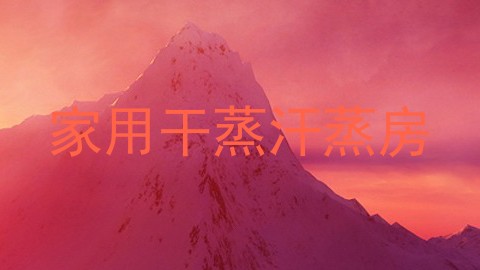 家用干蒸汗蒸房