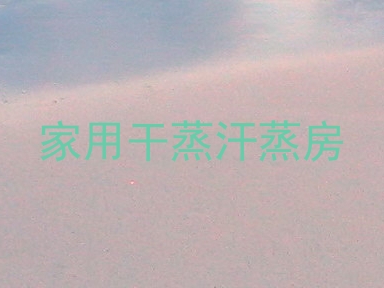 家用干蒸汗蒸房