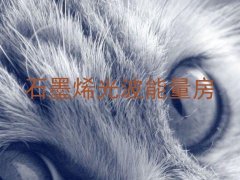 石墨烯光波能量房