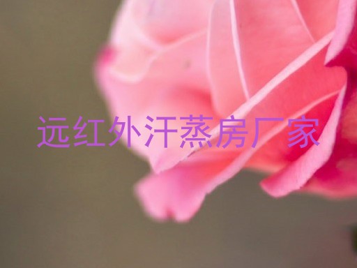 远红外汗蒸房厂家