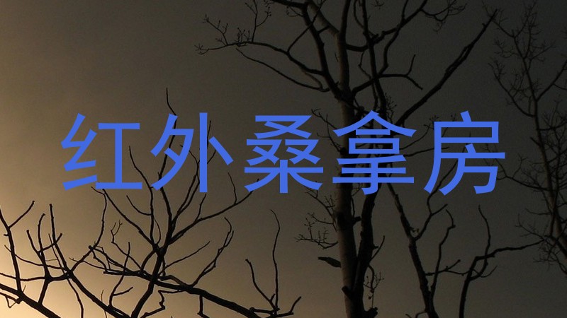 红外桑拿房