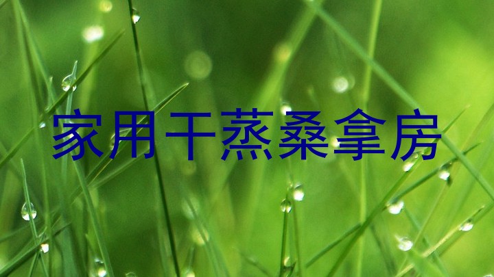 家用干蒸桑拿房