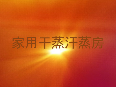 家用干蒸汗蒸房