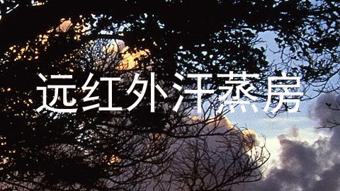 远红外汗蒸房