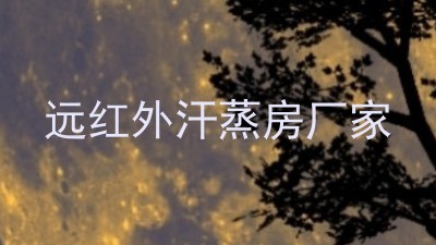 远红外汗蒸房厂家