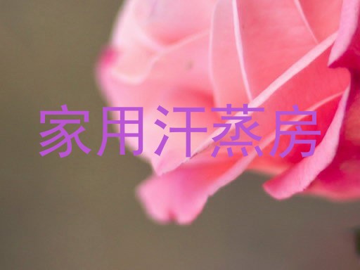 家用汗蒸房