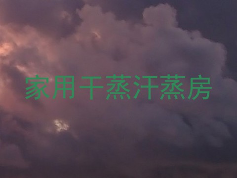 家用干蒸汗蒸房