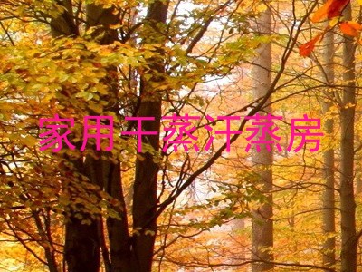 家用干蒸汗蒸房