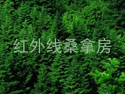 红外线桑拿房