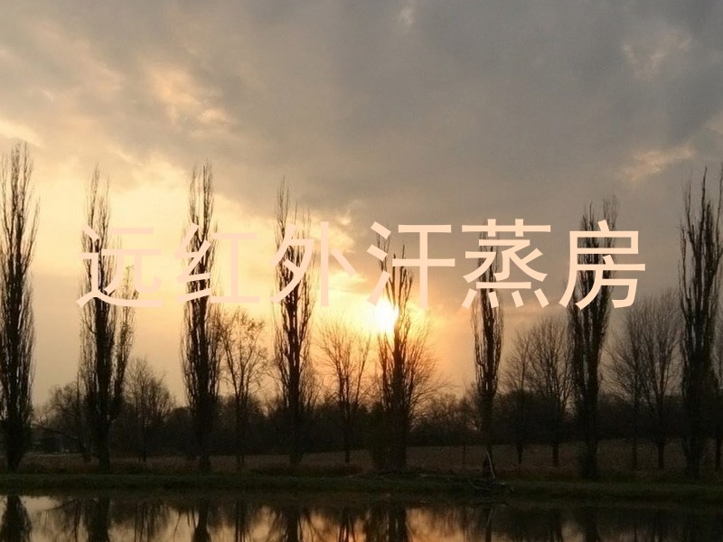 远红外汗蒸房