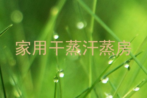 家用干蒸汗蒸房