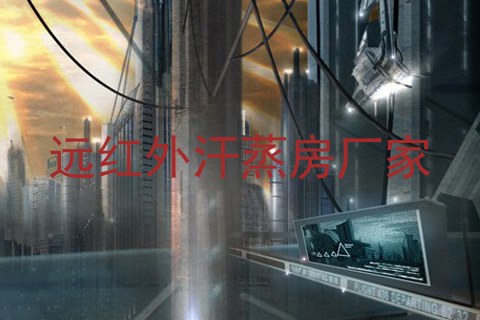 远红外汗蒸房厂家