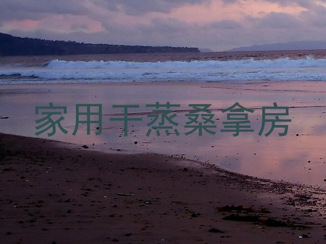 家用干蒸桑拿房