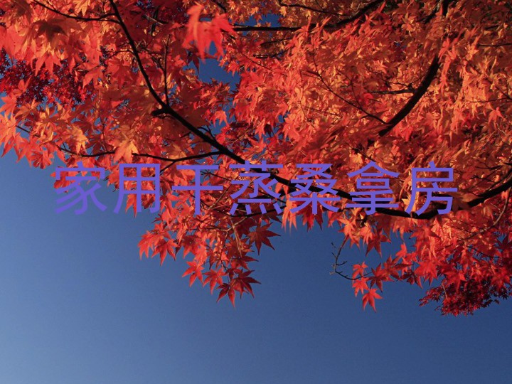 家用干蒸桑拿房