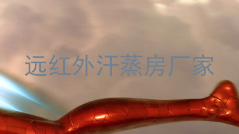 远红外汗蒸房厂家