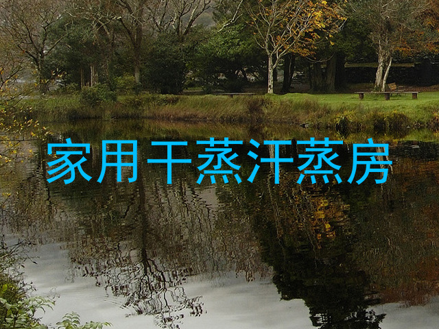 家用干蒸汗蒸房