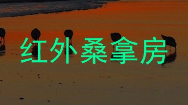 红外桑拿房