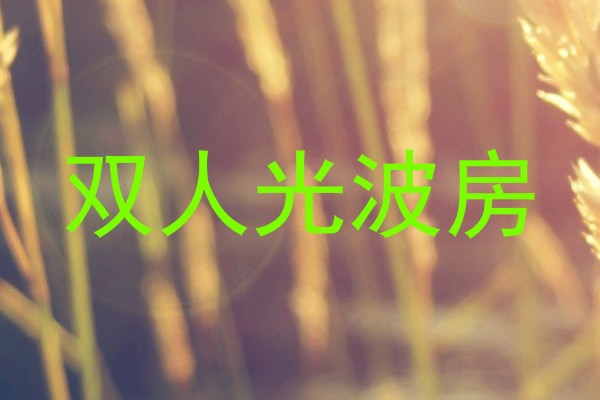 双人光波房