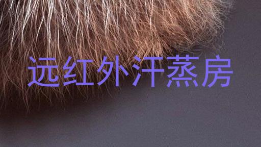 远红外汗蒸房