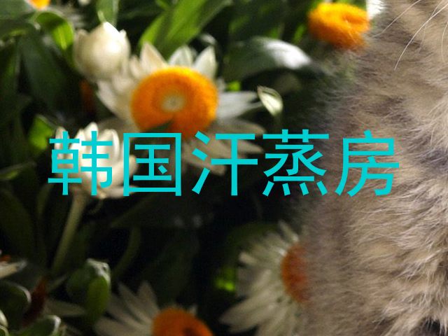 韩国汗蒸房