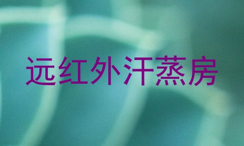 远红外汗蒸房