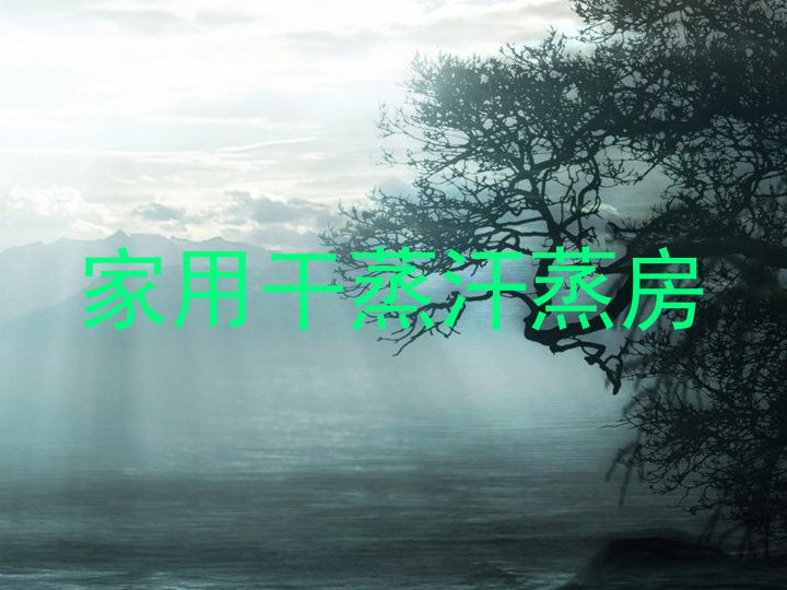 家用干蒸汗蒸房