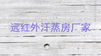远红外汗蒸房厂家
