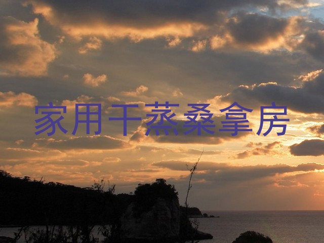家用干蒸桑拿房