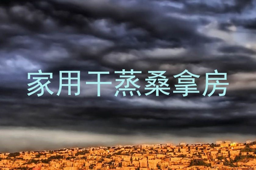 家用干蒸桑拿房